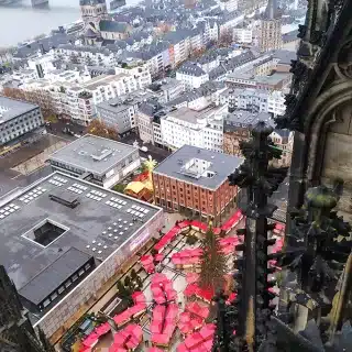 colonia en navidad