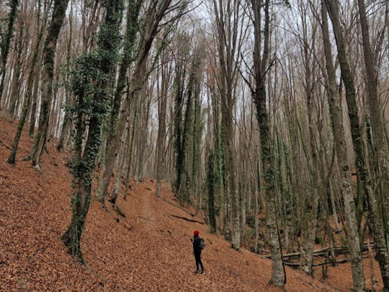planes de otoño en catalunya