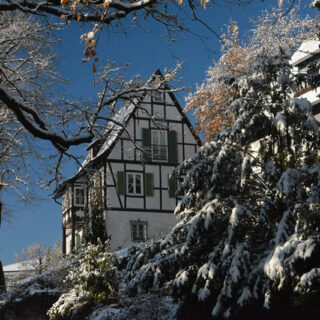friburgo en navidad