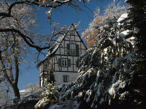 friburgo en navidad