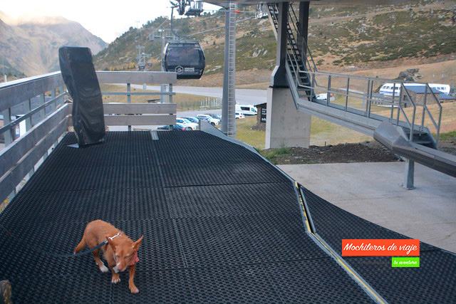 perro en el telecabina de tristaina
