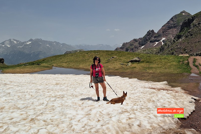 excursion con perro a anayet