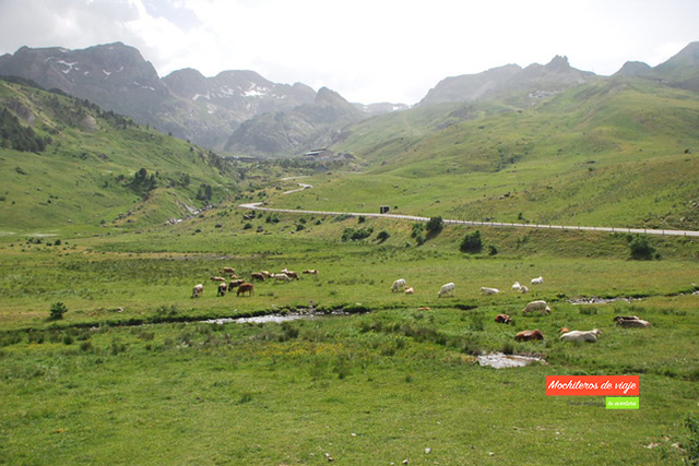 zona de corral de mulas